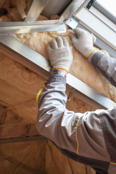 Best Residential Insulation in Stewartville, AL