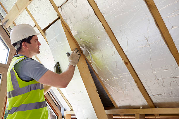 Best Insulation for Specific Applications in Stewartville, AL